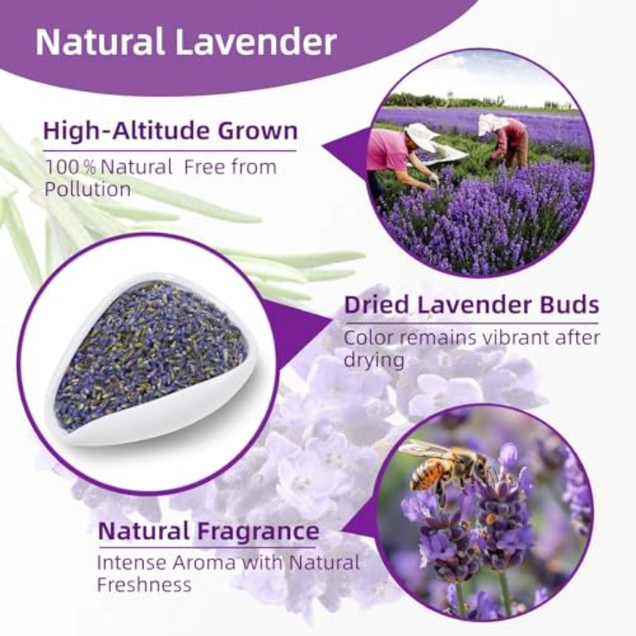 36 Pack Lavender Sachet Bags - - đánh giá và giá Home Fragrance Potpourri